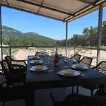Ferienhaus Robinson Olive Tree Huts Čara