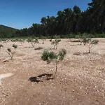 Robinson Olive Tree Huts *