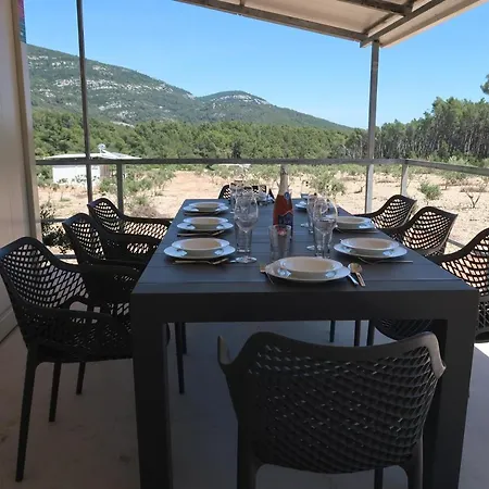 Robinson Olive Tree Huts