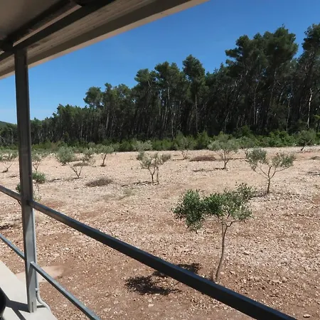 Robinson Olive Tree Huts Holiday home