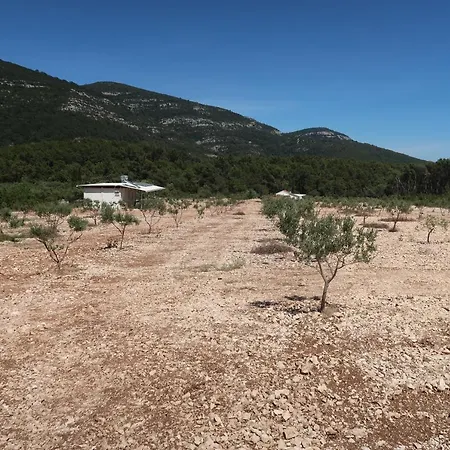Robinson Olive Tree Huts Čara