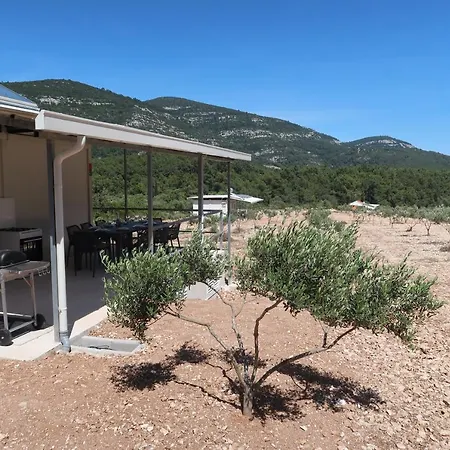 펜션 Robinson Olive Tree Huts